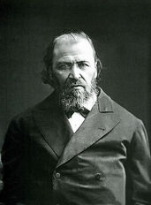 Яков Полонский. 1880 годы.